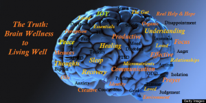 Labeled brain The Truth Brain Wellness to Living Well.png